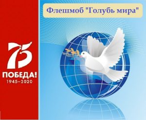 Флешмоб голубь. Флешмоб голубь. Школа мир знаний грозный. Флешмоб голубь. Флешмоб голубь.